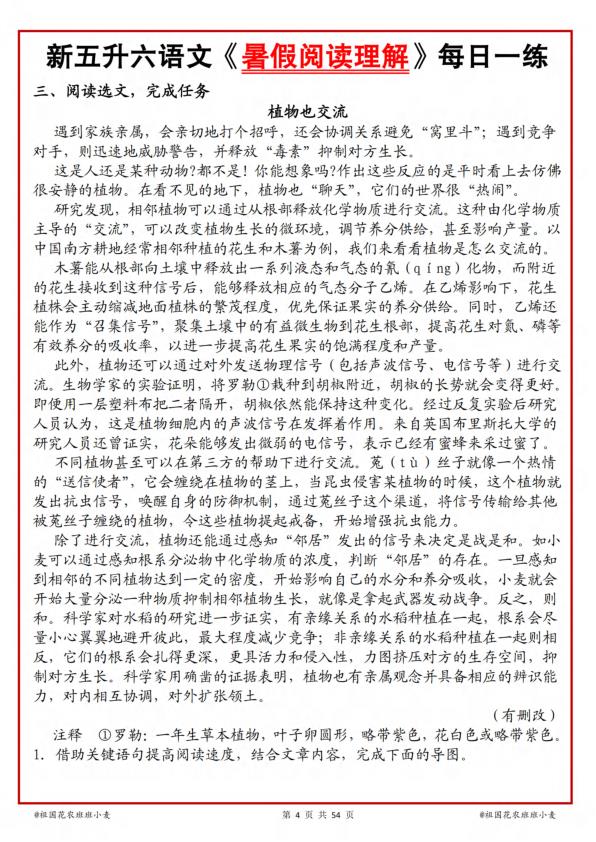 图片[4]-2026新五升六语文暑假阅读理解每日一练-宝库盒教辅资料站