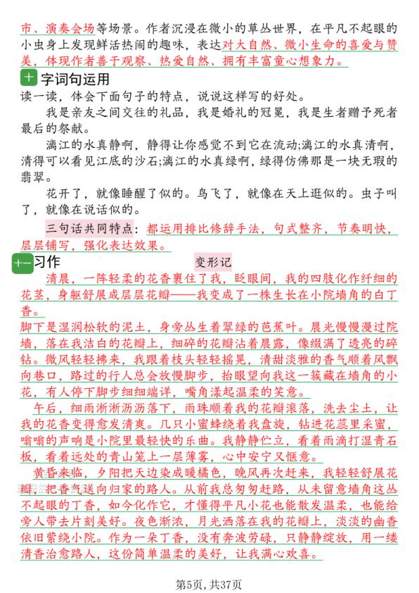 图片[5]-2026新六年级上册语文1-8单元知识点背读-宝库盒教辅资料站