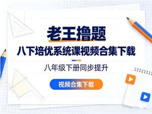 老王撸题 八下培优系统课视频合集-宝库盒教辅资料站
